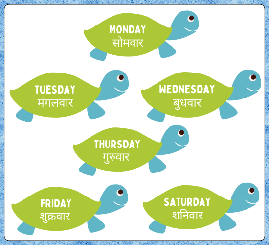 Days of the Week on Turtles(Hindi)