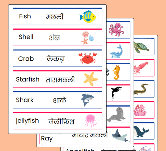 Under the Sea Word Cards(Hindi)