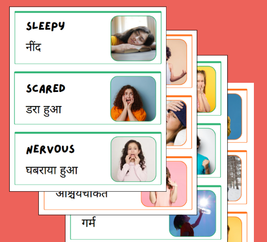 Emotions and Feelings Photo Word Card(Hindi)