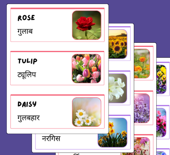 Garden Plants Names and Flowers Photo Word Cards (Hindi)