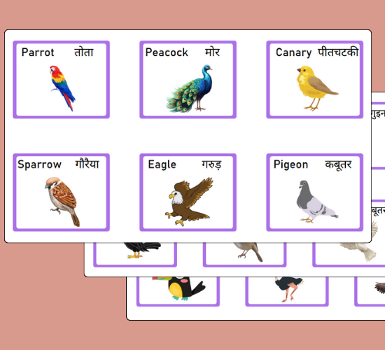 Charming Cute Birds Matching Cards(Hindi)