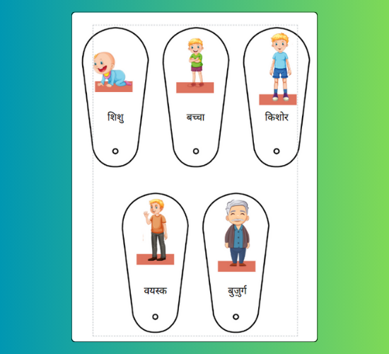Educational Life Cycle of a Human Fan(Hindi)