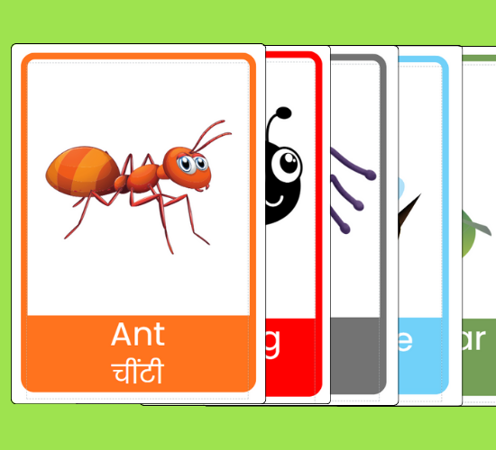 Amazing Minibeast Display Posters(Hindi)