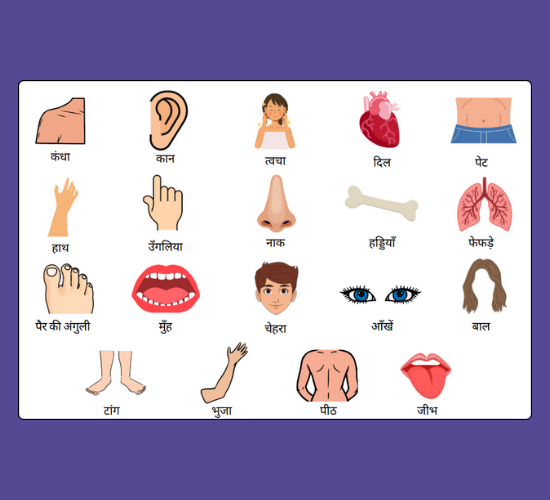 My Body Word Mat(Hindi)