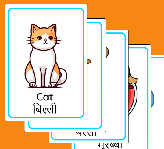 CVC Word Posters(Hindi)