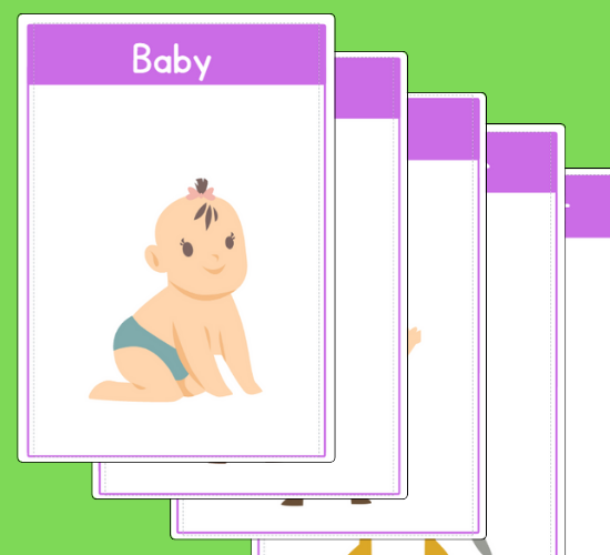 Stages of Growth Flashcards