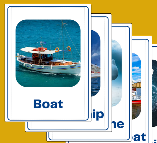 Water Transport Flashcards