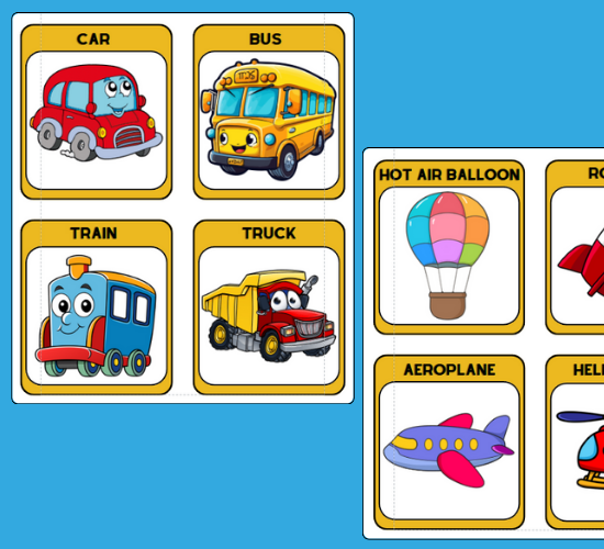 Transport Flashcards