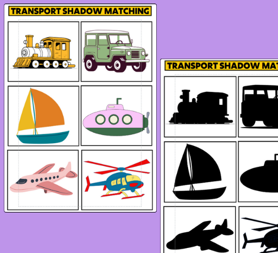 Transport Shadow Matching