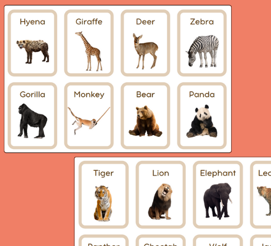 Mini Wild Animals Flashcards