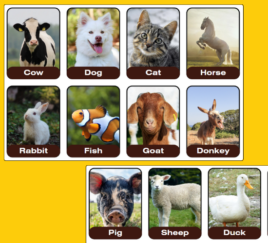 Domestic Animals Mini Flashcards