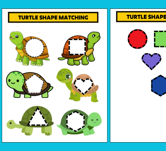 Turtle Shape Matching Worksheets