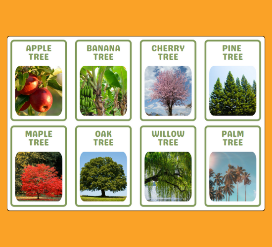 Trees Mini Flashcards