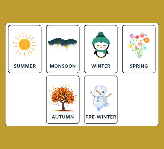 Seasons Mini Flashcards