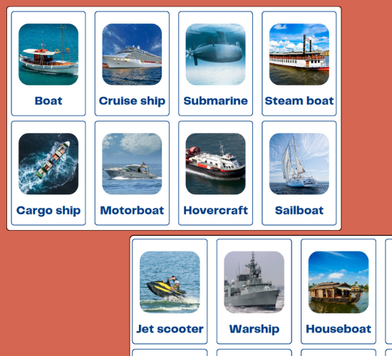 Water Transport Mini Flashcards