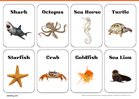 Sea Creatures Mini Flashcards