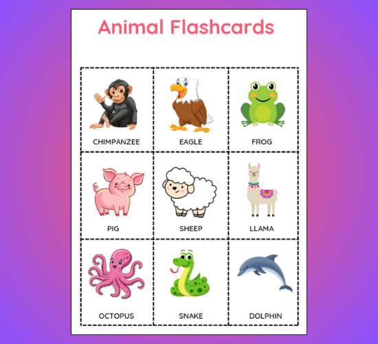 Animal mini Flashcards
