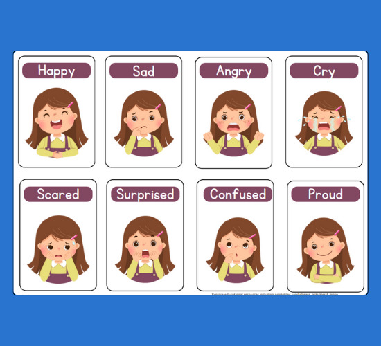 Face Feelings Mini Flashcards