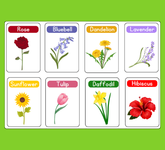 Mini Flower Flashcards