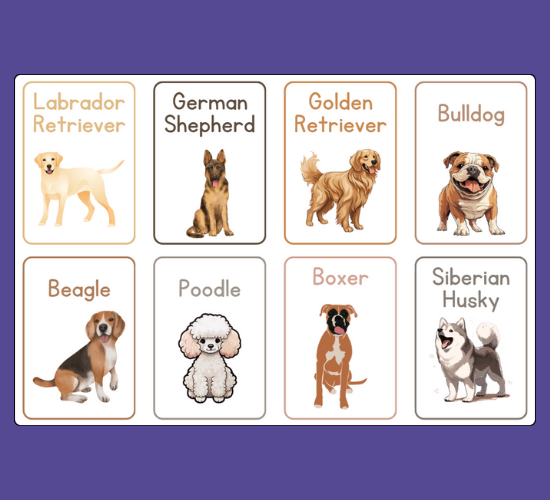 Dog Breeds Mini Flashcards