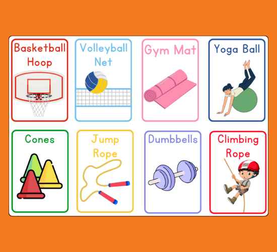 Gymnasium Mini Flashcards