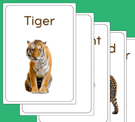 Wild Animals Flashcards