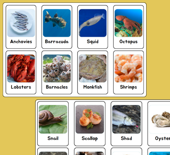 Seafood Mini Flashcards