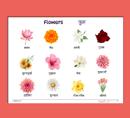 Colorful Flowers Word Mat(Hindi)