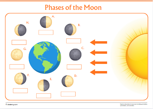 worksheet