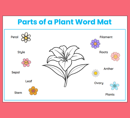 Parts of A Plant Word Mat