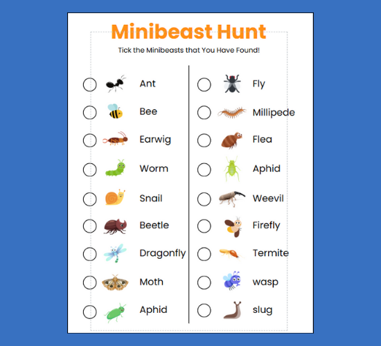 Minibeast Hunt