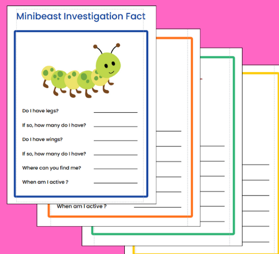 Minibeast Investigation Fact