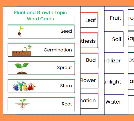 Plant and Growth Topic Word Cards Standard version