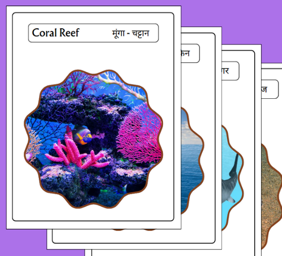 Ocean Adventure Display Photo Cut-Outs(Hindi)