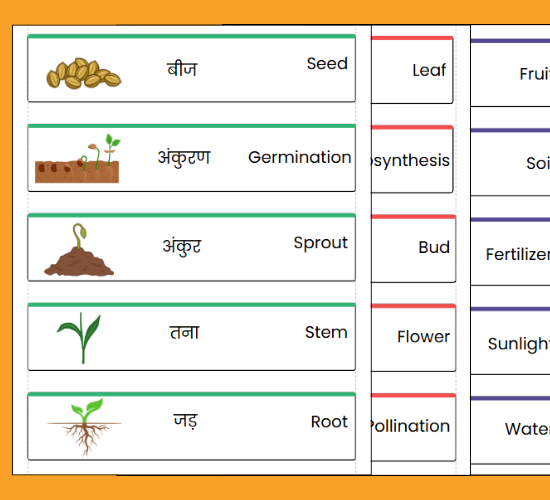 Plant and Growth Topic Word Cards - (Hindi)