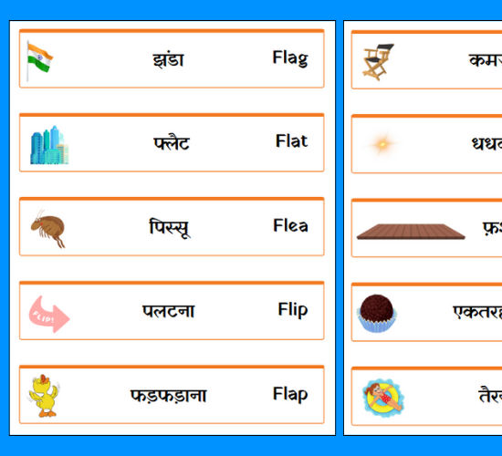 FL Word Cards(Hindi)