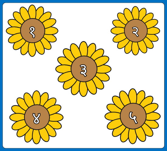 worksheet