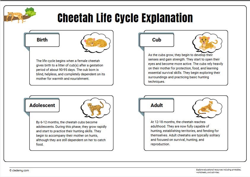 worksheet