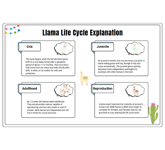 Llama Life Cycle Explanation