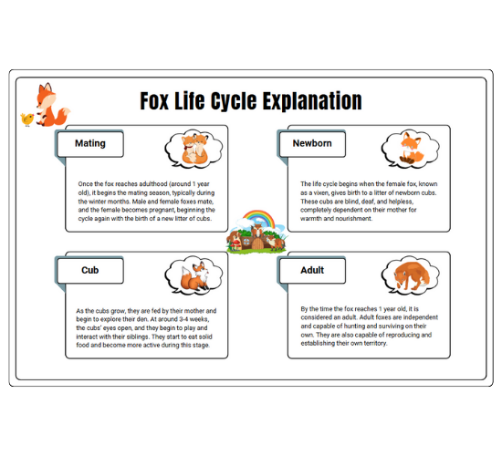 Fox Life Cycle Explanation