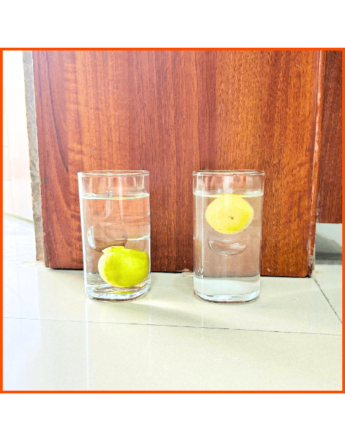 Lemon Float and Sink Experiment