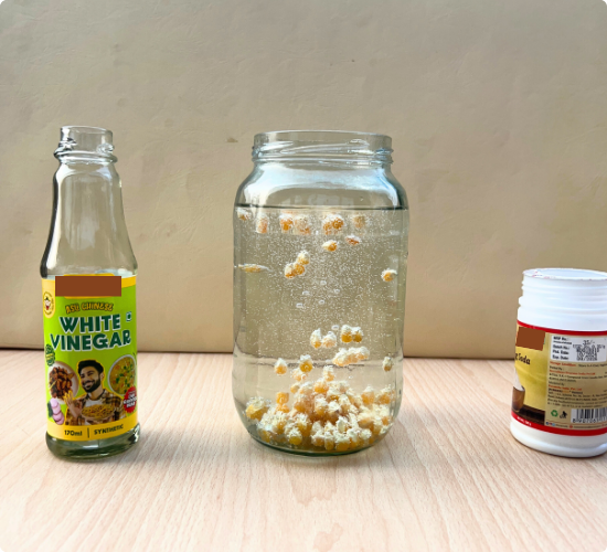 Dancing Corn Experiment