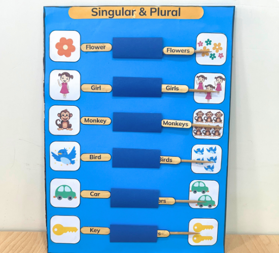 Singular and Plural Project