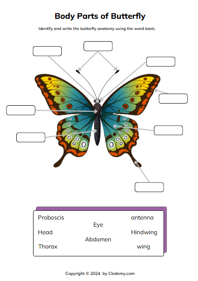 worksheet