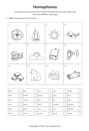 worksheet