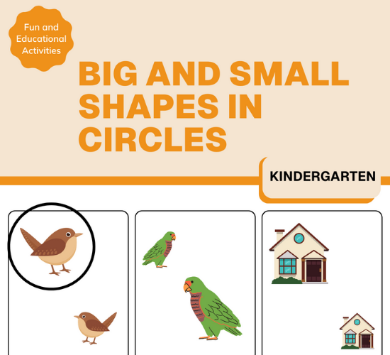 Shapes in Circles: Big and Small