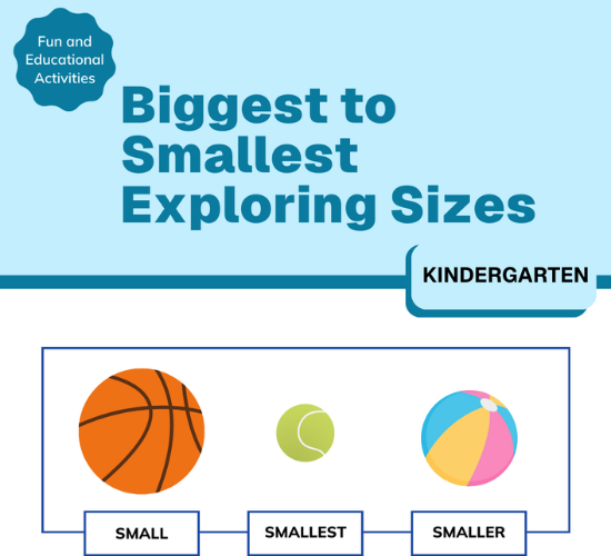 Biggest to Smallest: Exploring Sizes