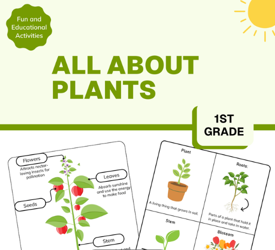All About Plants