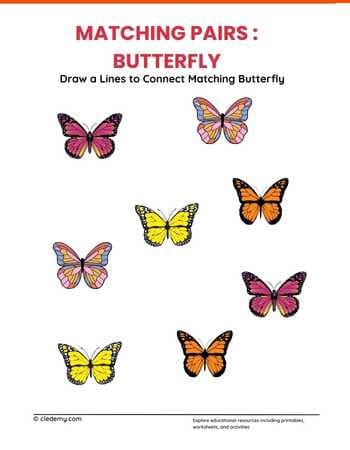 Matching Pairs Butterfly