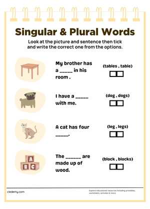 Write the Singular Words and Plural Words 2